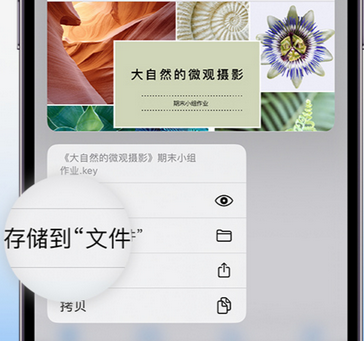 三台apple维修中心分享iPhone文件应用中存储和找到下载文件