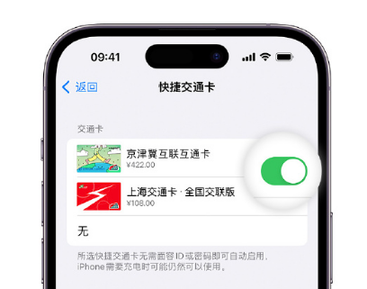 三台apple维修点分享iPhone上更换Apple Pay快捷交通卡手绘卡面 