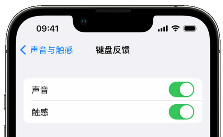 三台苹果手机维修分享iPhone 14触感键盘使用方法 